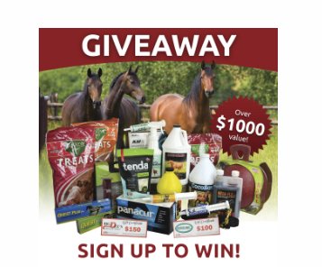 $1,000 Grand Prize Giveaway