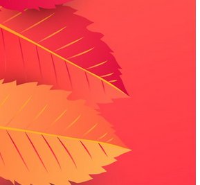 $1,200 Turkey Day Giveaway