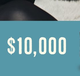 $10,000 Pets Money Sweepstakes