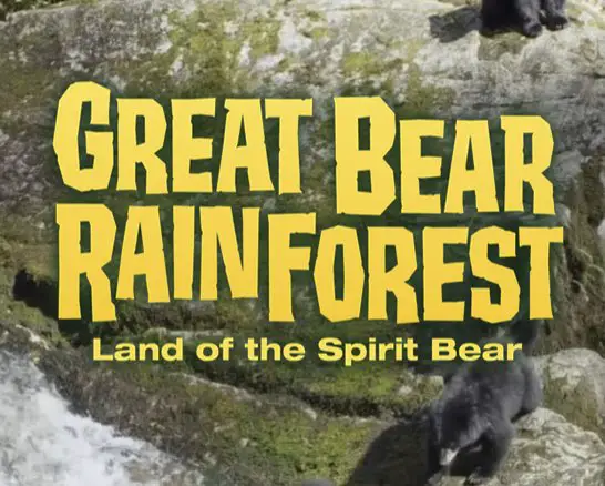 $10,500 Great Bear Rainforest Sweepstakes