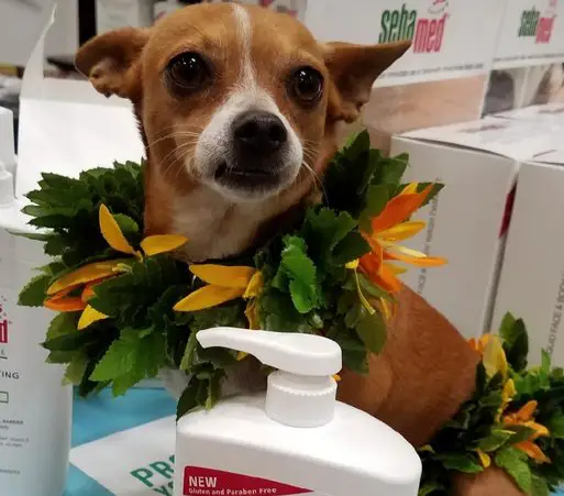 $100 Gift Card Photo Caption Contest