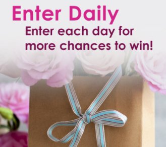 $100 Visa Gift Card Giveaway