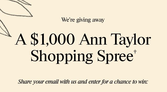 $1000 Shopping Spree Swepstakes!