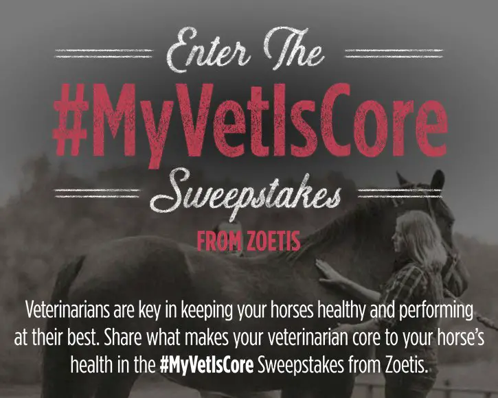 $1000 to Equine Vet or Tack Stor