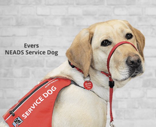 $12,500 Bravecto Cares Sweepstakes