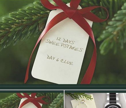 12 Days Jewelry Sweepstakes