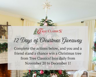 12 Days of Christmas Sweepstakes