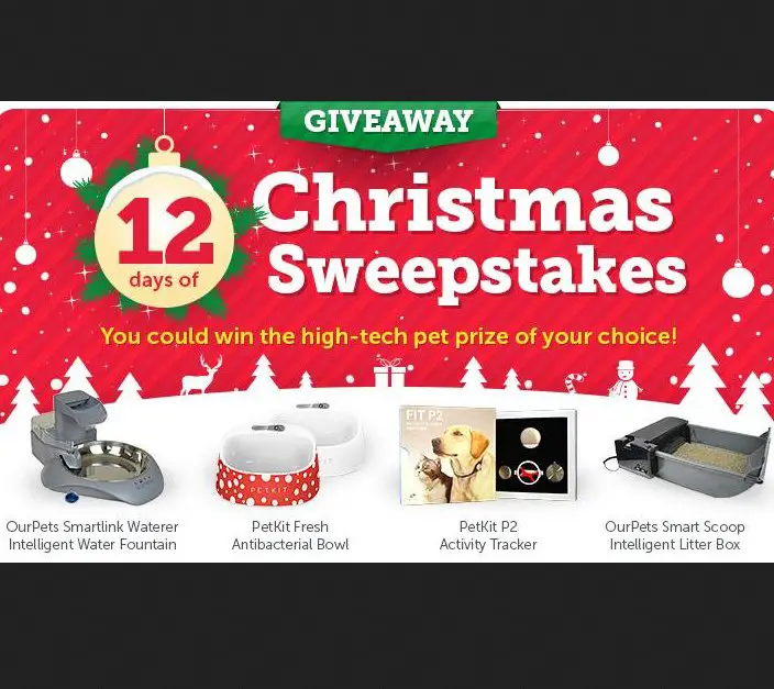 12 Days of Christmas Sweepstakes