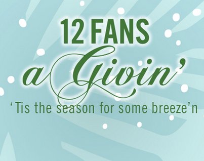 12 Fans a Givin Giveaway