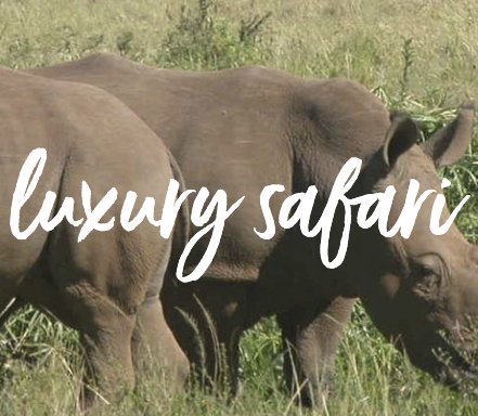 $15,000 Luxury Safari Holiday Sweepstakes