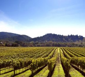 $2,000 Kenwood Sonoma Sweepstakes