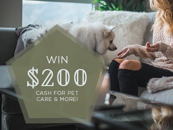 200 Cash Sweepstakes