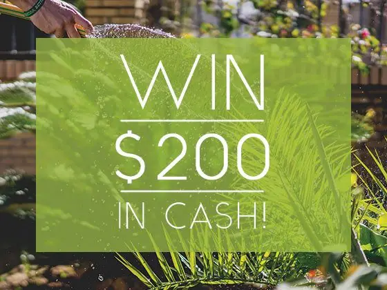 $200 In Free Cash Sweepstakes