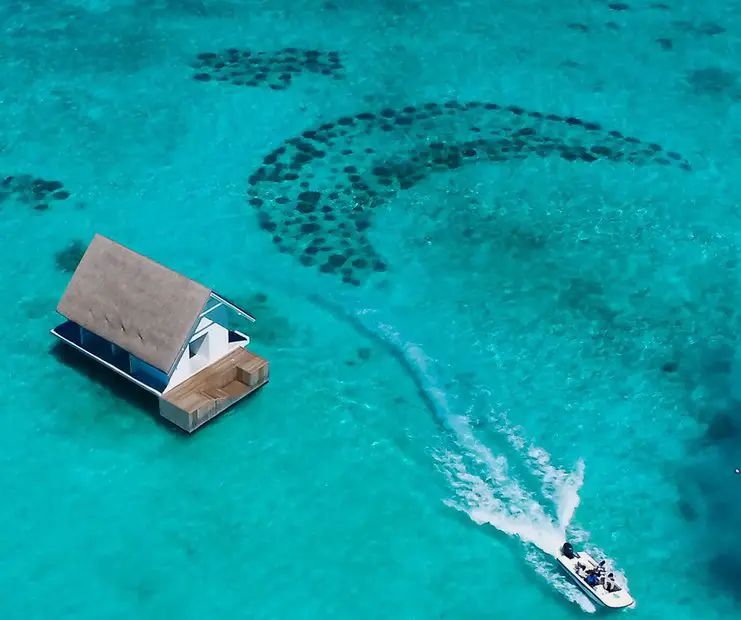 $2,000 American Express Gift Card