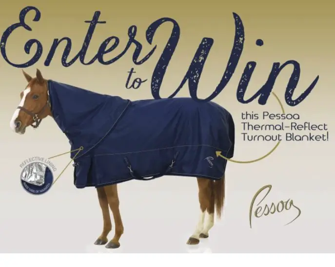 2018 Pessoa Thermal Reflect Turnout Blanket Giveaway
