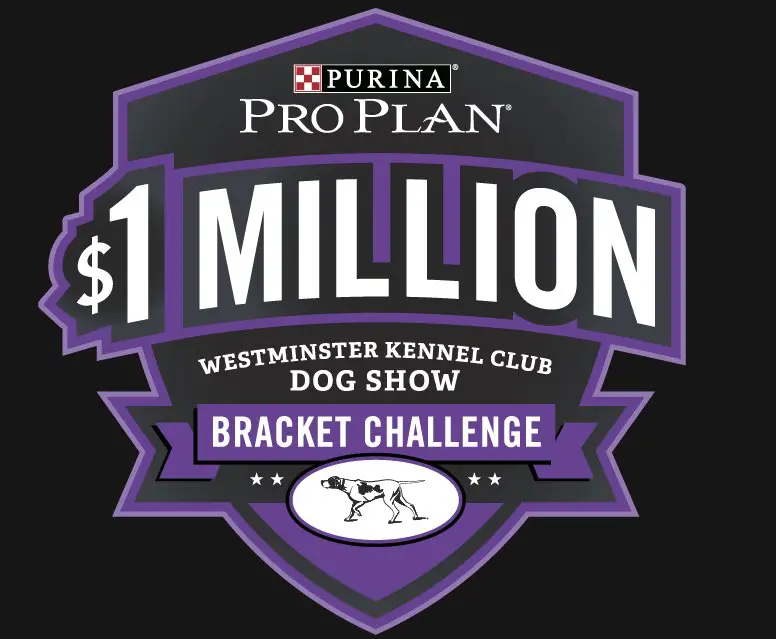 2020 Purina Pro Plan $1 Million Dollar Dog Show Challenge