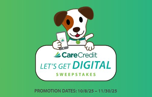 2025 CareCredit Let's Get Digital Sweptakes & Instant  Win Game - Win $5,000 , $10,000 Or Other Prizes