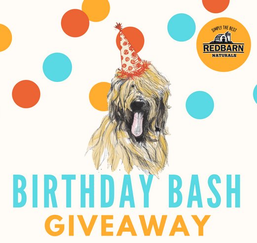 20th Anniversary Dog Birthday Bash Giveaway!