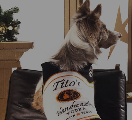 $25,000 Holiday Sweepstakes