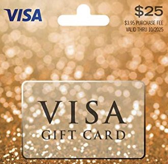 $25 Visa Gift Card