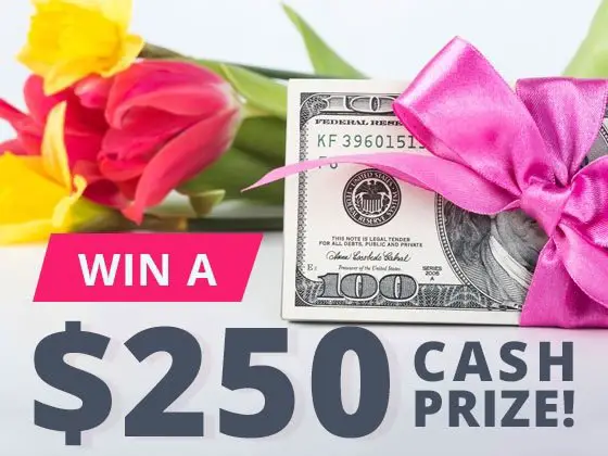 $250 Cash Prize Sweepstakes