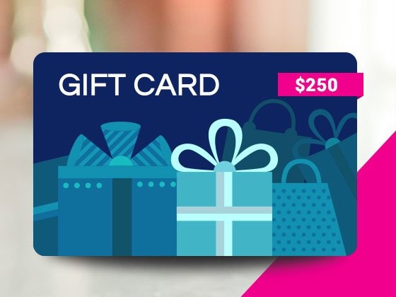 $250 PlayMobil Toy Gift Card, 4 Winners!