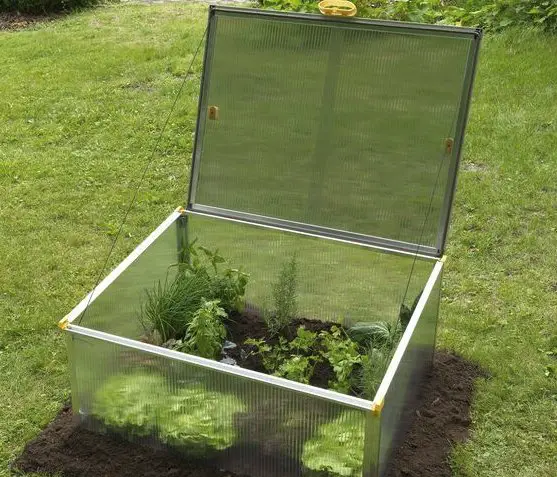 $260 Garden Growing Giveaway