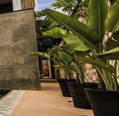 3-Night Retreat in Mexico Sweepstakes