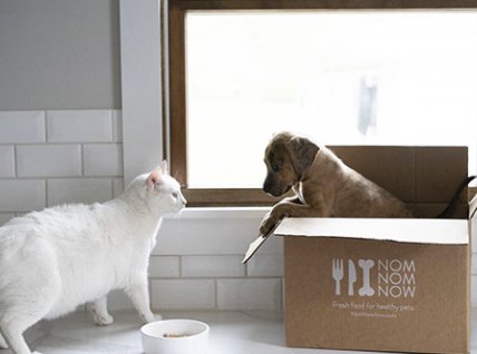 One Year Supply of NomNomNow Dog Food