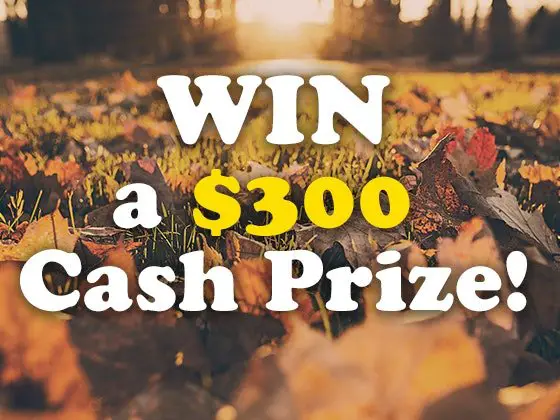 $300 Cash Prize Sweepstakes