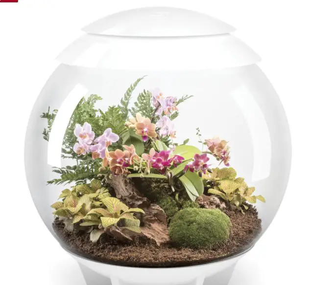 $380 biOrbAIR plant & animal terrarium by OASE!