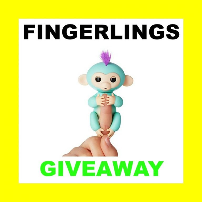 4 Fingerlings Baby Monkeys