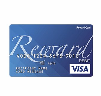 5 x $100 Visa Gift Card
