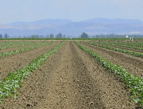 $500 Gift Card Giveaway