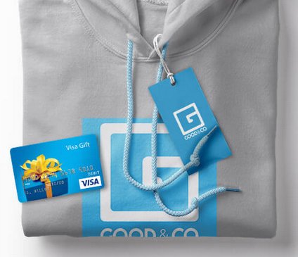 $500 Visa Gift Card