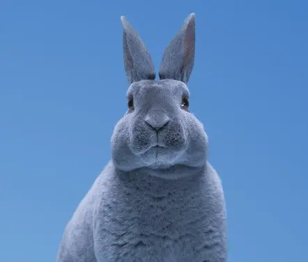 $52,500 Blue Bunny Task Force Instant Win Game