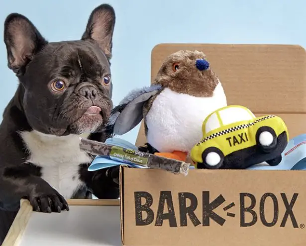6 Month BarkBox Subscription