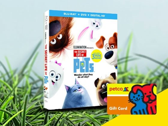 $600 Petco Gift Card and DVD
