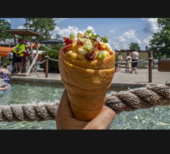 $7,855 Festival Food Sweeps 2019 Noah's Ark Waterpark