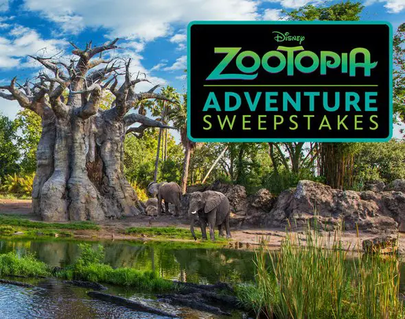 A $7,061 Disney Zootopia Adventure Sweepstakes Awaits You!