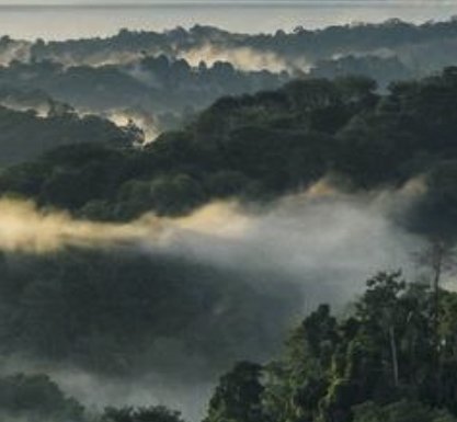 8 Day Costa Rica Nature & Culture Adventure Sweepstakes