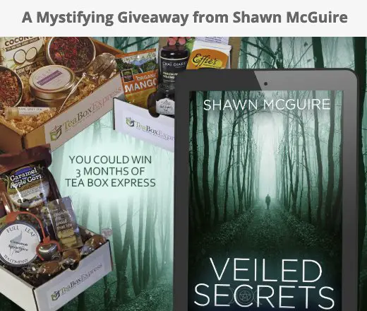 A Mystifying Giveaway from Shawn McGuire