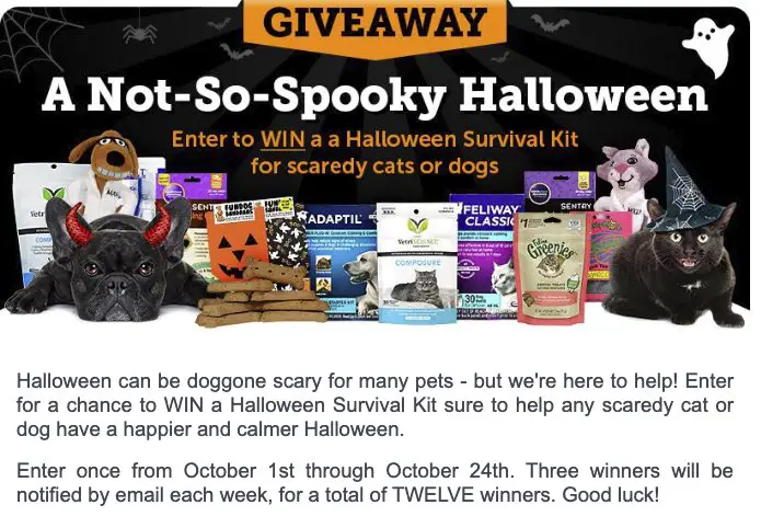 A Not-So-Spooky Halloween Sweepstakes