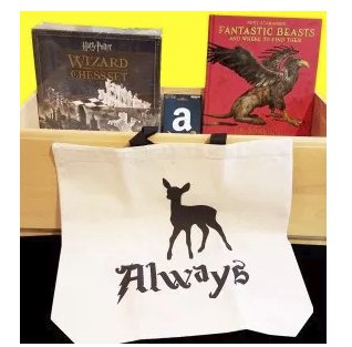 Accio Harry Potter and Fantastic Beast Prizes