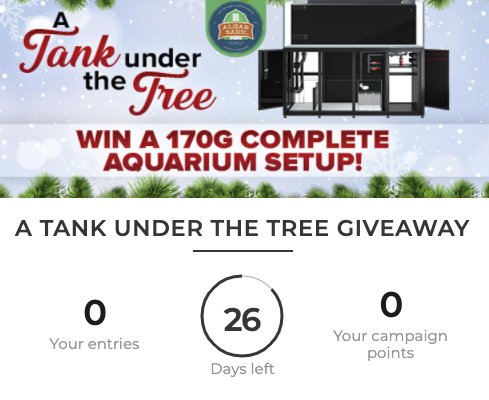 AlgaeBarn Tank Under the Tree Giveaway
