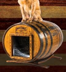 All-American Dogs Contest