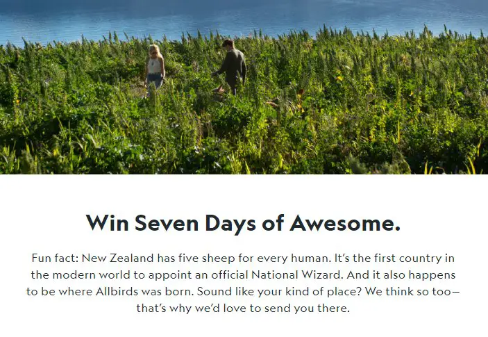 Allbirds New Zealand Sweepstakes - Win A $14,400 Trip For 2 To New Zealand