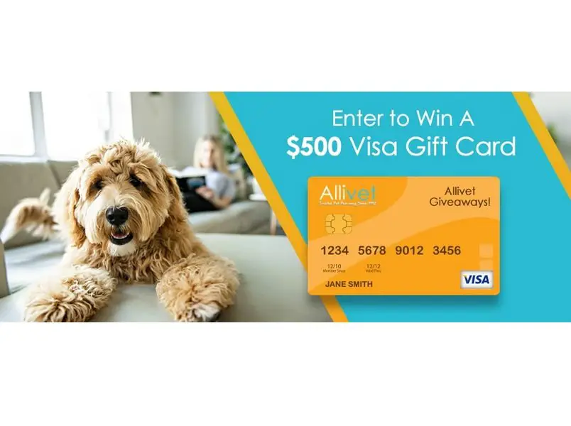 Allivet Visa Gift Card Giveaway - Win A $500 Prepaid Gift Card