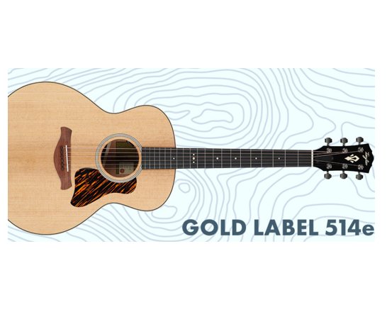 American Musical Supply Taylor Gold Label Giveaway - Win an Acoustic Electric Guitar