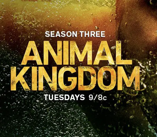 Animal Kingdom SoCal Threads Sweepstakes